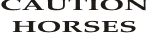 VInyl graphic sticker/decal CAUTION HORSES
